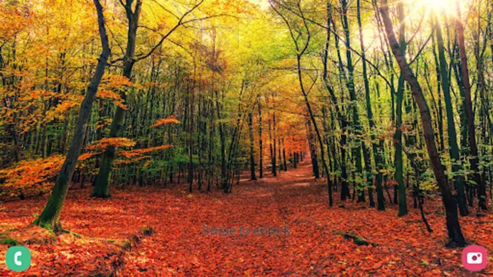 Autumn Wallpaper android App screenshot 0