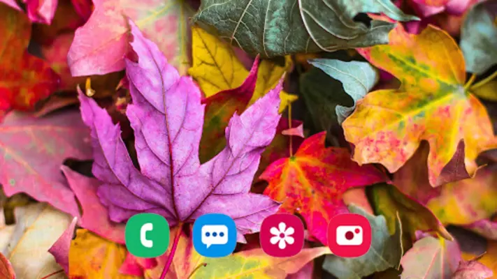 Autumn Wallpaper android App screenshot 1