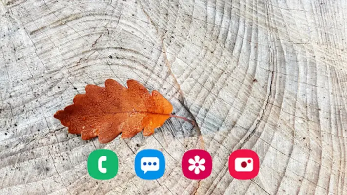 Autumn Wallpaper android App screenshot 3