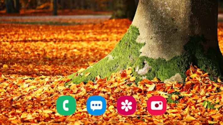 Autumn Wallpaper android App screenshot 5